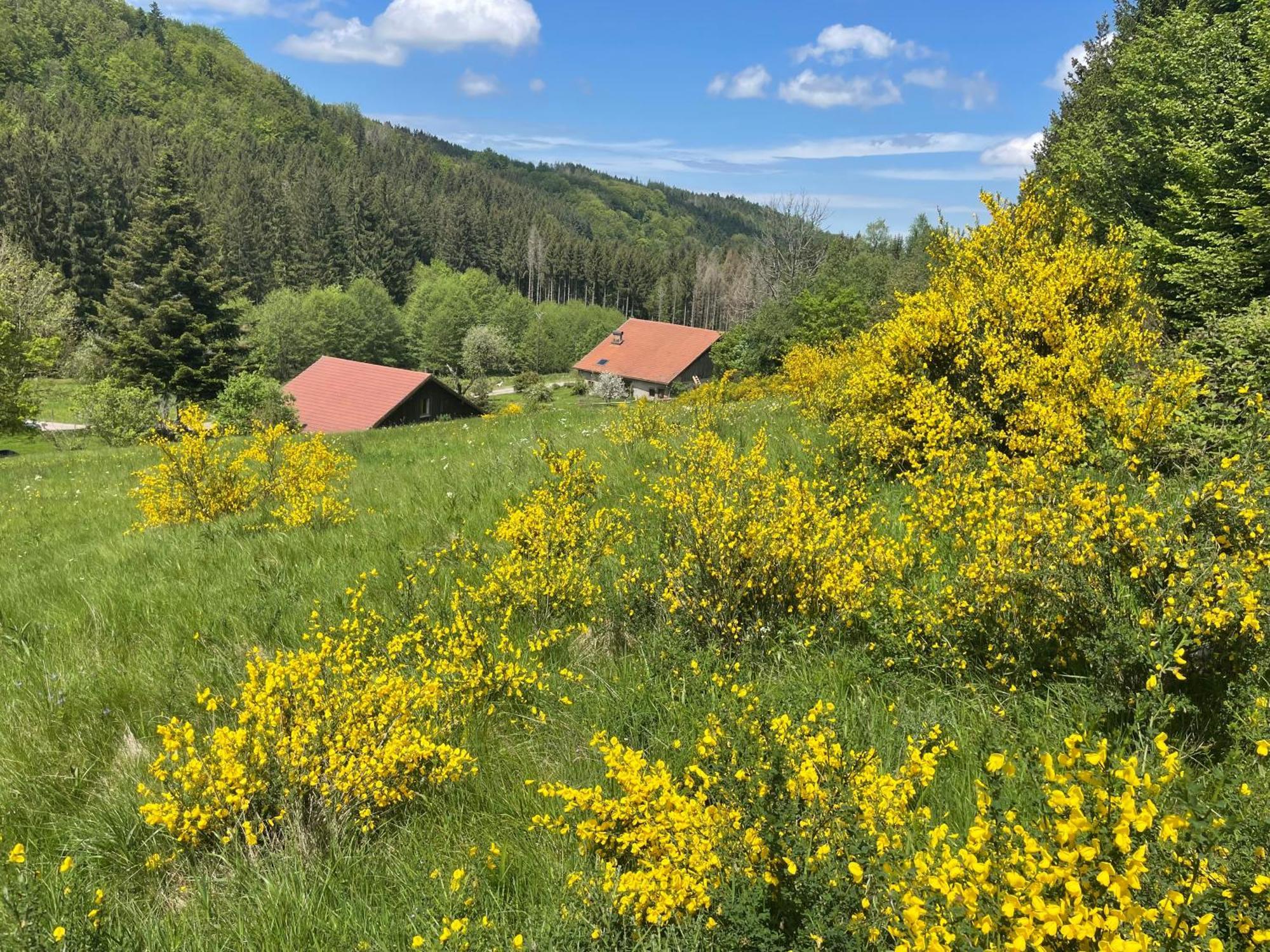 La Hutte Villa Tendon Exterior photo